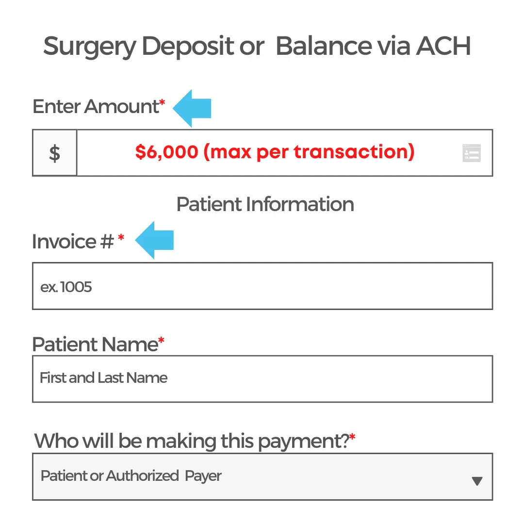ACH Portal Displaying Payment Instructions