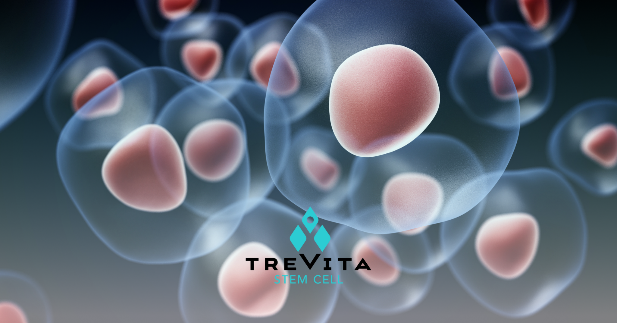 How Does Stem Cell Therapy Work Regenerative Medicine
