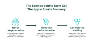 Science Behind StemCells