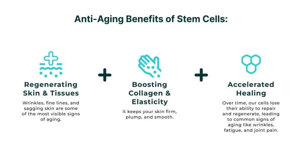 Stem Cell Anti-Aging Benefits