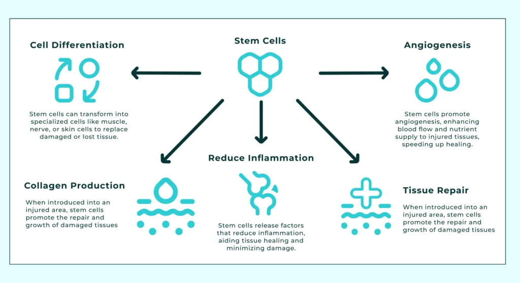 The Secret to a Youthful Face: Top Anti-Aging Procedures in 2025