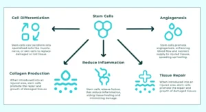 The Secret to a Youthful Face: Top Anti-Aging Procedures in 2025