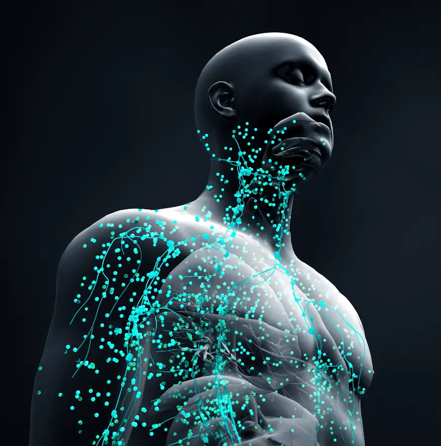 translucent human body with veins