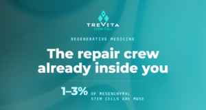 muse stem cells, muse cells, stem cell therapy, mesenchymal stem cells